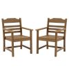 Patio Dining Chair with Armset Set of 2, HIPS Materialwith Imitation Wood Grain Wexture chair for Deck Pool Backyard, Teak