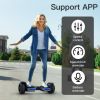 E-X8 Electric Scooter 2 wheels 750W Motor 36V 4AH Self-Balancing Electric Scooter 10 Inch Hover Board