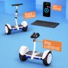 IE-K8 Electric Scooter 10 Inches Tire 700W Battery 36V 4AH Electric Self-Balancing scooter 80KG Load