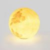 3D Moon Indoor & Outdoor Floor Lamp