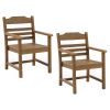 Patio Dining Chair with Armset Set of 2, HIPS Materialwith Imitation Wood Grain Wexture chair for Deck Pool Backyard, Teak